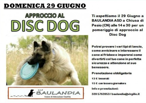 flyer disc giugno