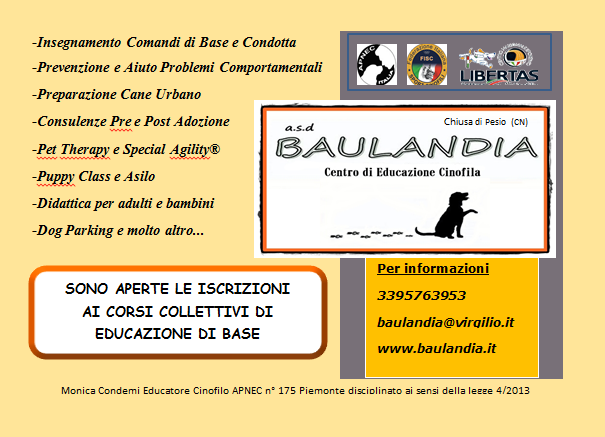 flyer baulandia