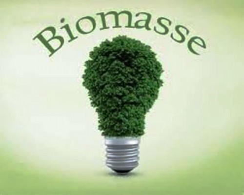 Biomassa