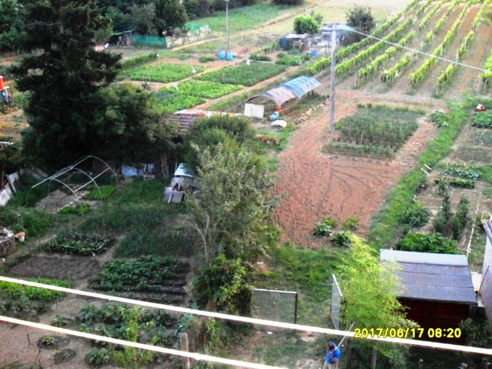 vista da balcone orti