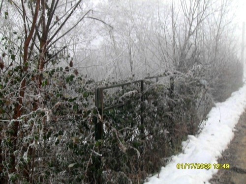 terreno Tigliole FRAZ.REMONDINI 004