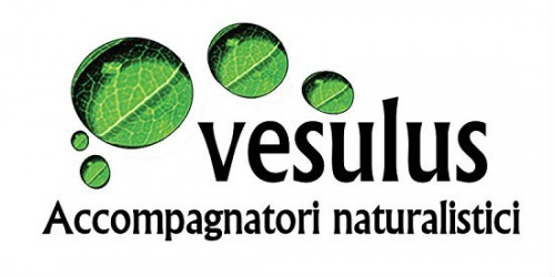 Vesulus_accompagnatori-naturalistici