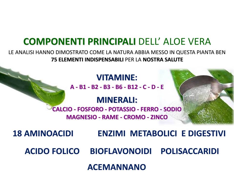 aloe-componenti