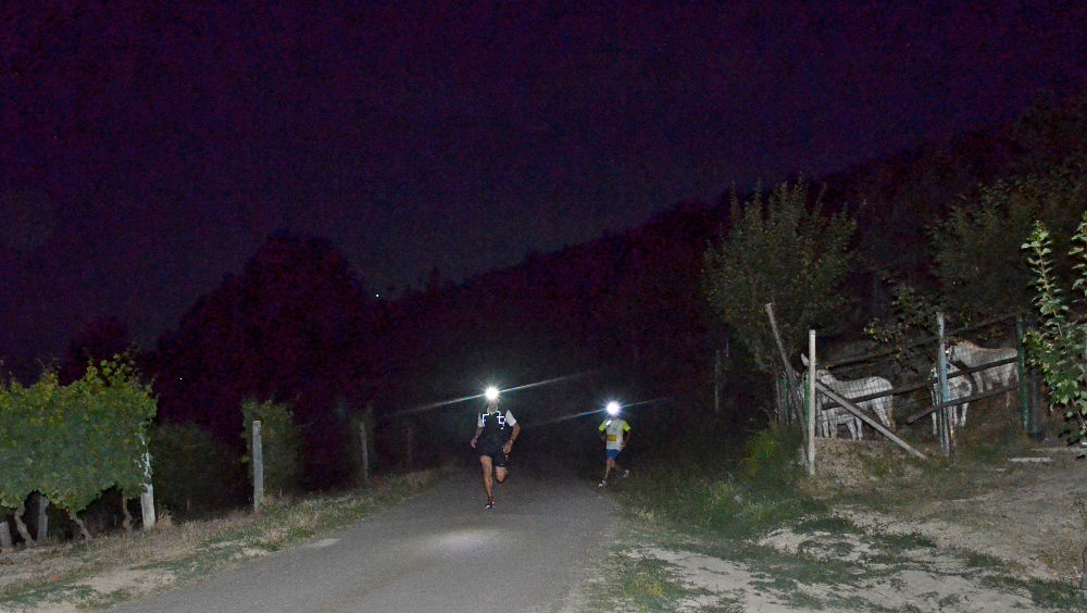 moscato night trail 2014 risoluzione