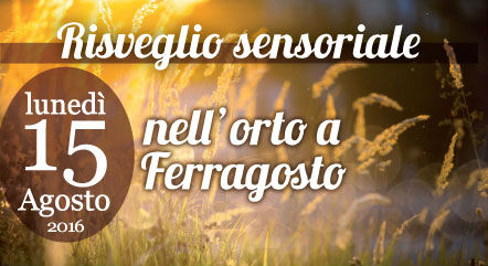 ferragosto_sinergico