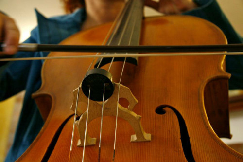 violoncello