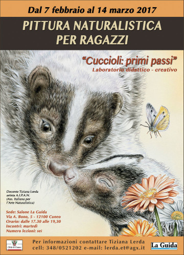 Cuccioli- primi passi