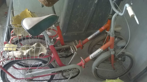 Due bici graziella (60 euro)