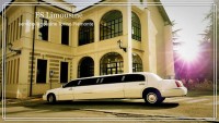 FS Limousine logo BUSCA