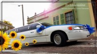 FS limousine Cuneo