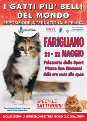 Locandina Expo felina FARIGLIANO