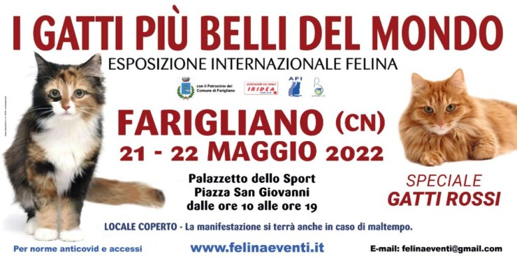 Banner Expo felina FARIGLIANO